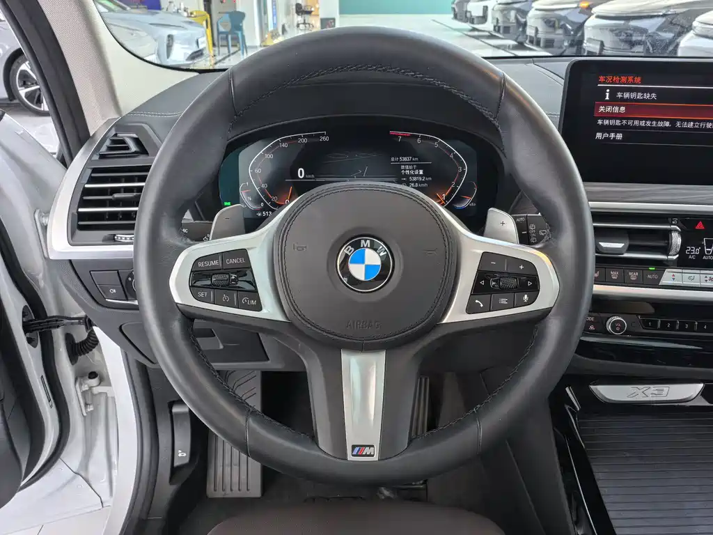 BMW X3 — миниатюра 7