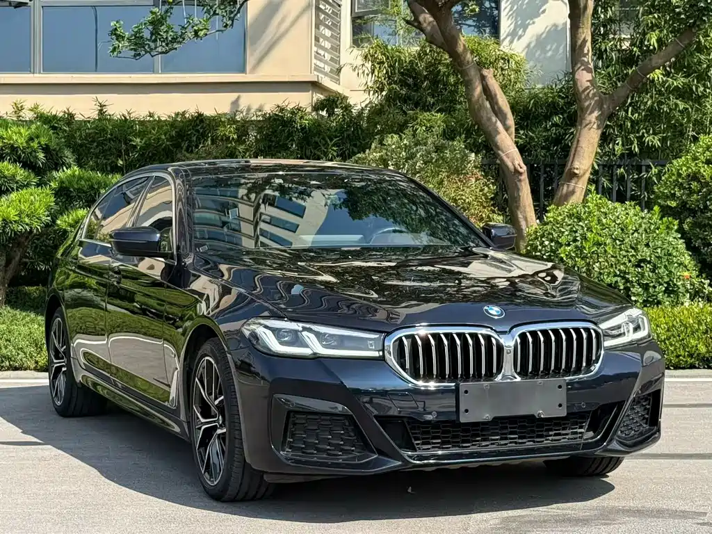 BMW 5 Series — миниатюра 3