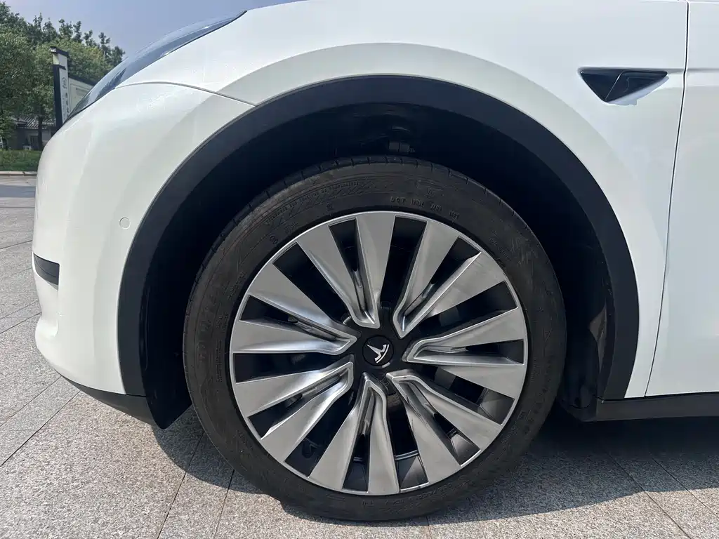 Tesla Model Y — миниатюра 10