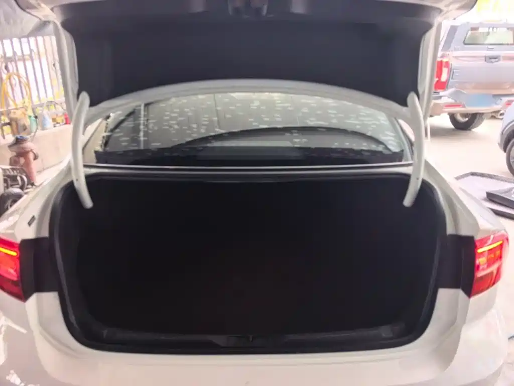 Volkswagen Lamando — миниатюра 19