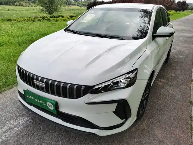 2026 Geely Binrui