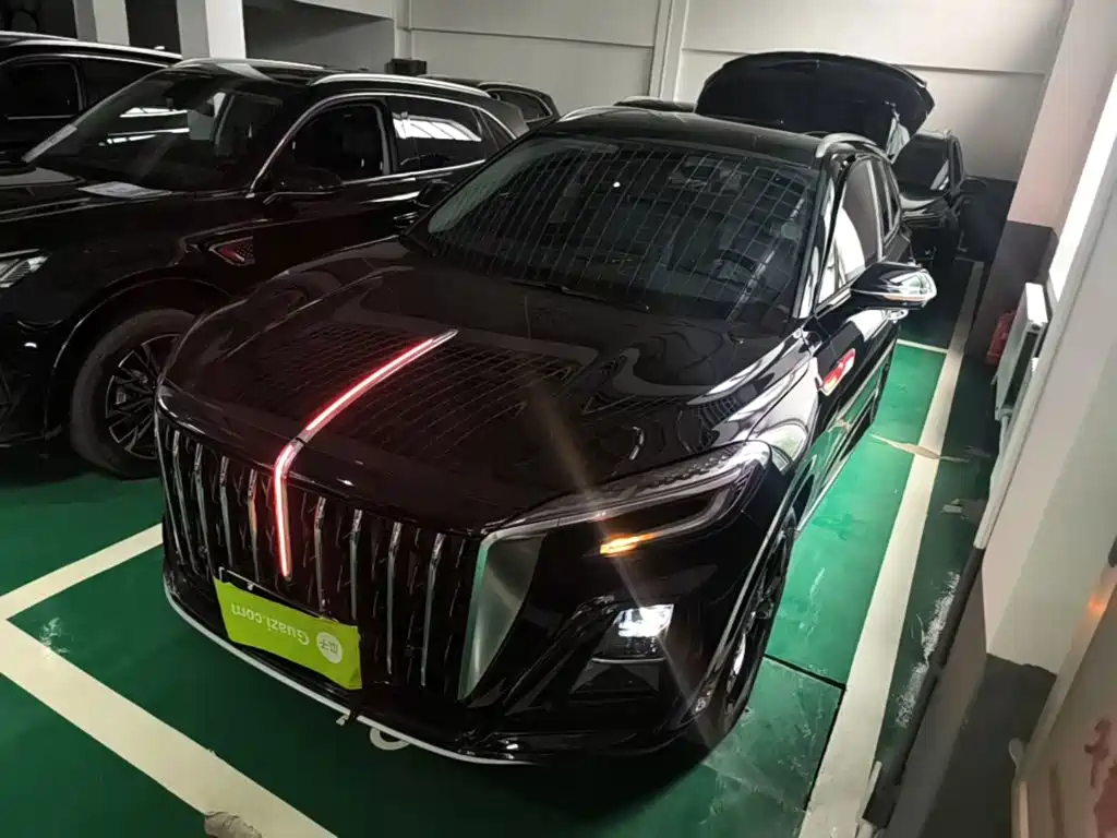 Hongqi Hongqi HS3 PHEV — миниатюра 2