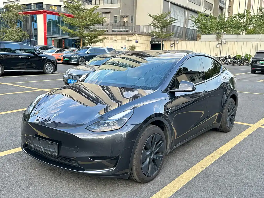 Tesla Model Y — миниатюра 8