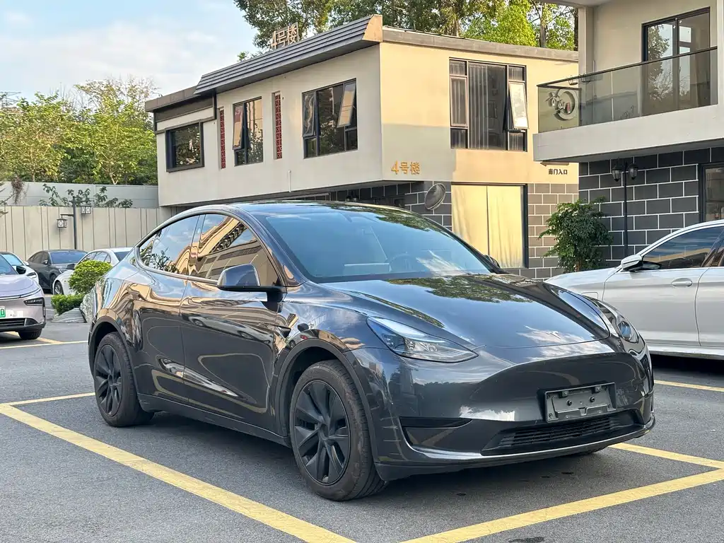 Tesla Model Y — миниатюра 3