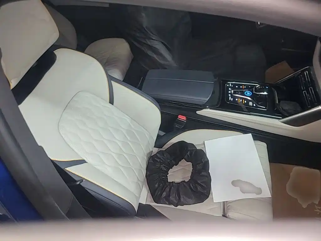 BYD Tang New Energy — миниатюра 25