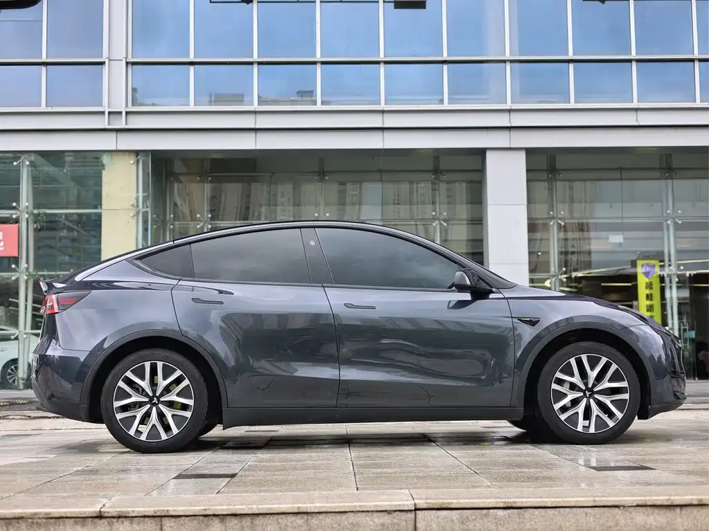 Tesla Model Y — миниатюра 7