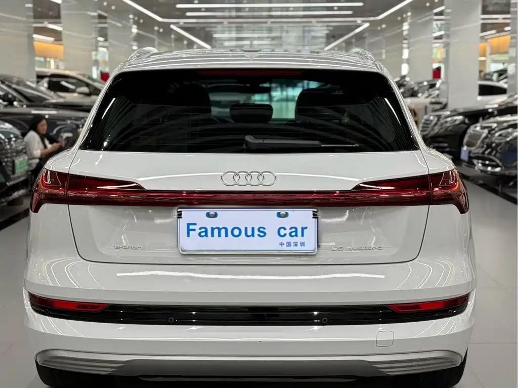 Audi e-tron (Import) — миниатюра 4
