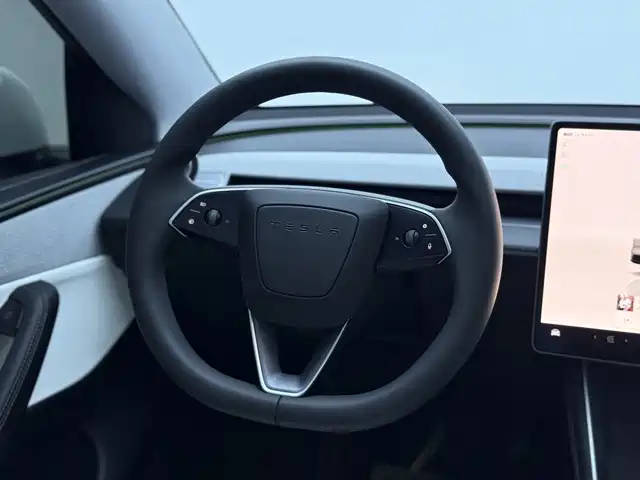 Tesla Model Y — миниатюра 17