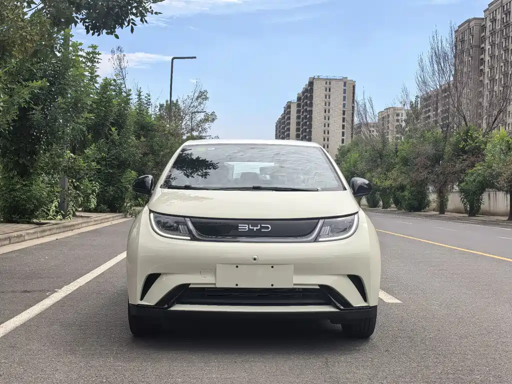 BYD Dolphin — миниатюра 2