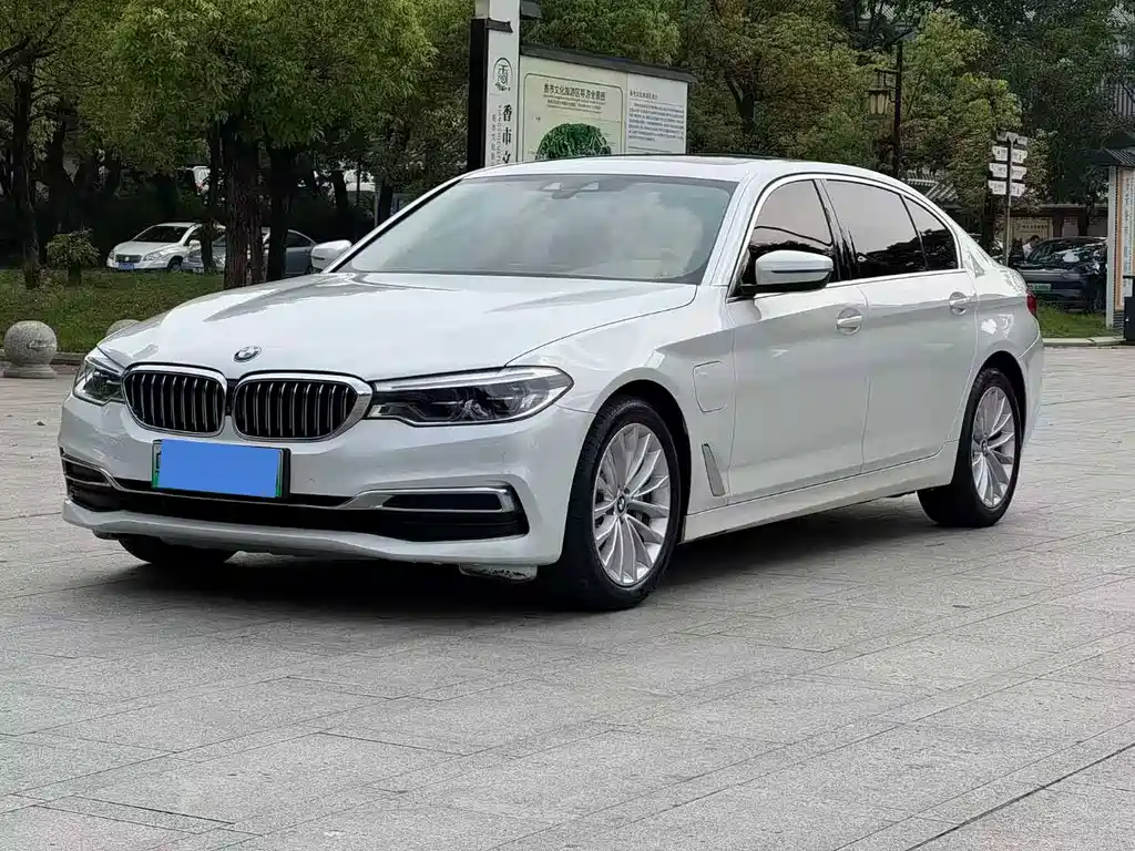 BMW 5 Series New Energy 2020