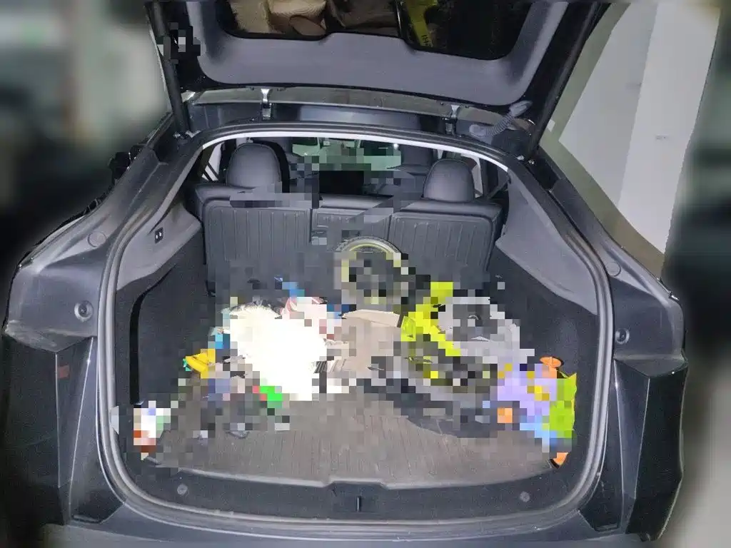 Tesla Model Y — миниатюра 20