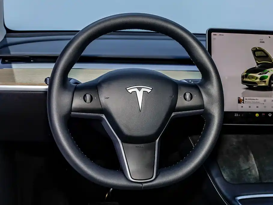 Tesla Model Y — фотографии объявления, Фото 21