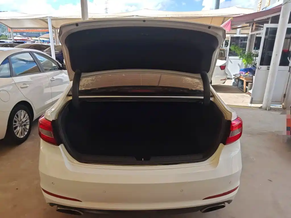 Hyundai Sonata — миниатюра 19