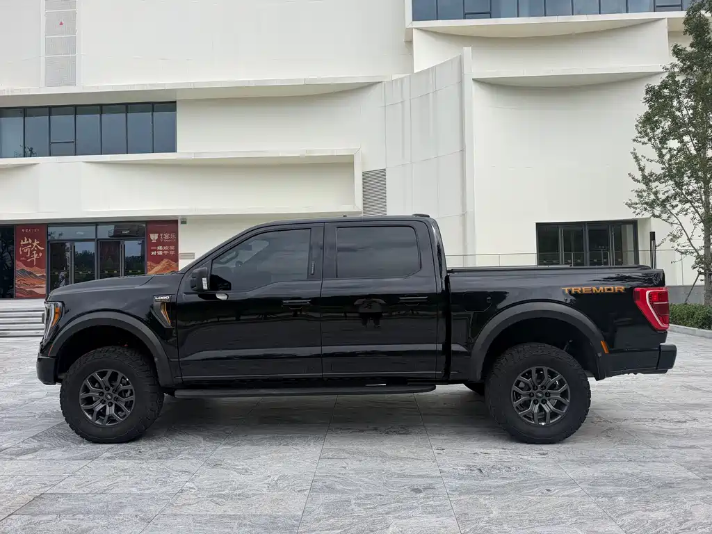 Ford F-150 Raptor — миниатюра 8