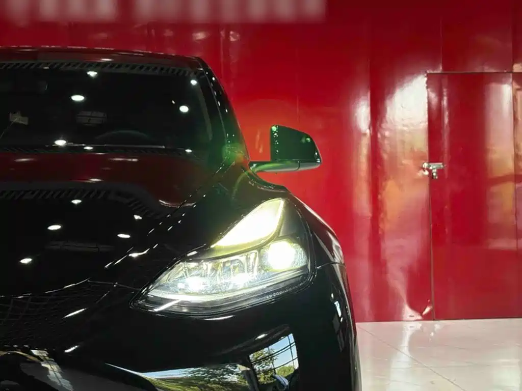 Tesla Model Y — миниатюра 4