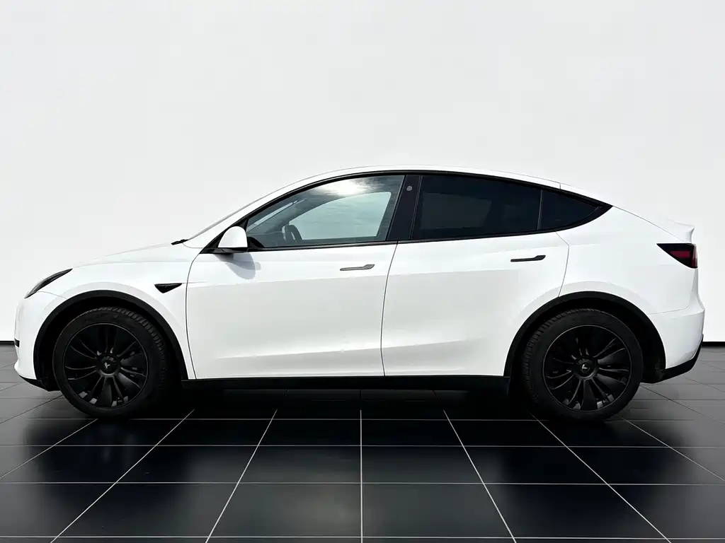 Tesla Model Y — миниатюра 5