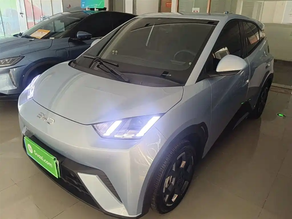 Byd Seagull 2024