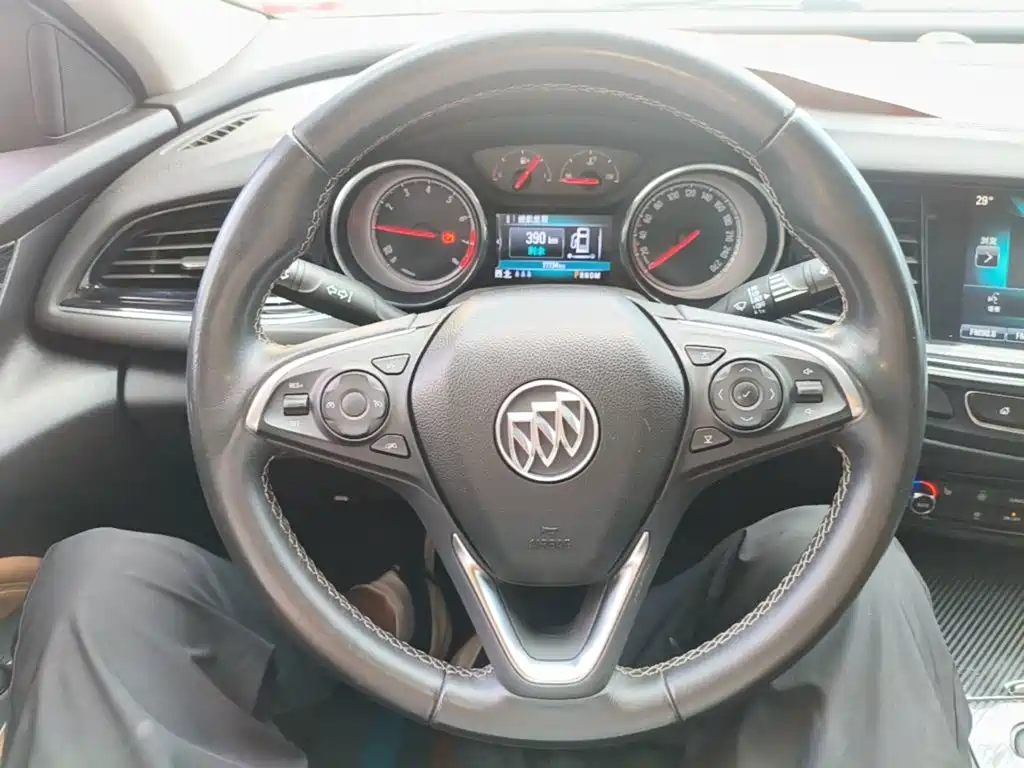 Buick Regal — миниатюра 11