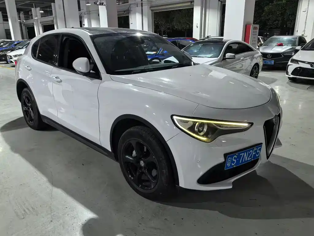 Alfa Romeo Stelvio 2.0T 200HP Elite Edition, фото 2