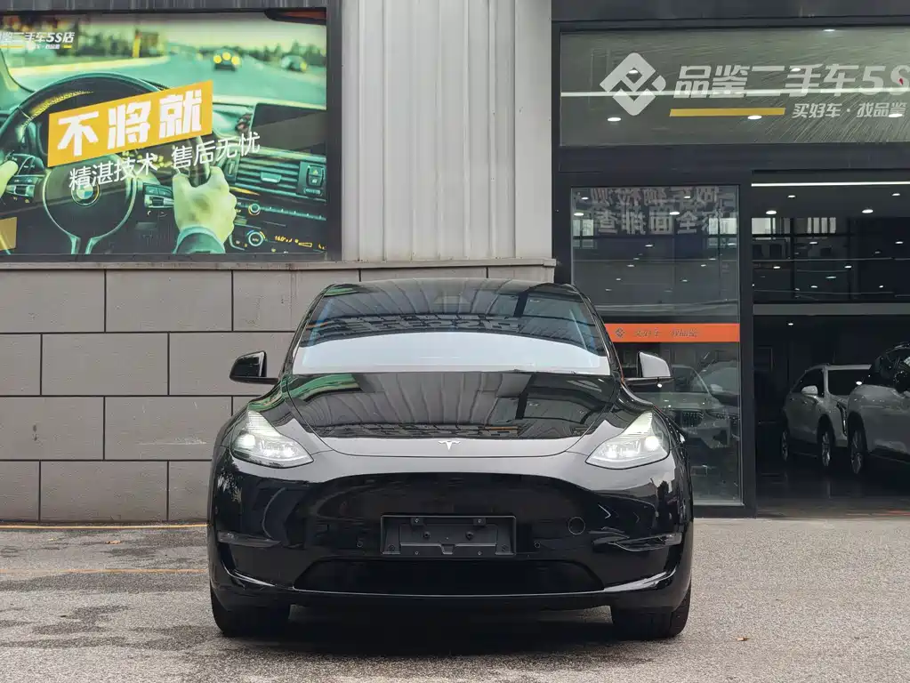 Tesla Model Y — миниатюра 2