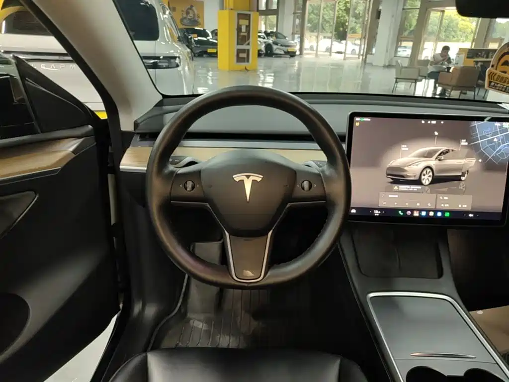 Tesla Model Y — миниатюра 11