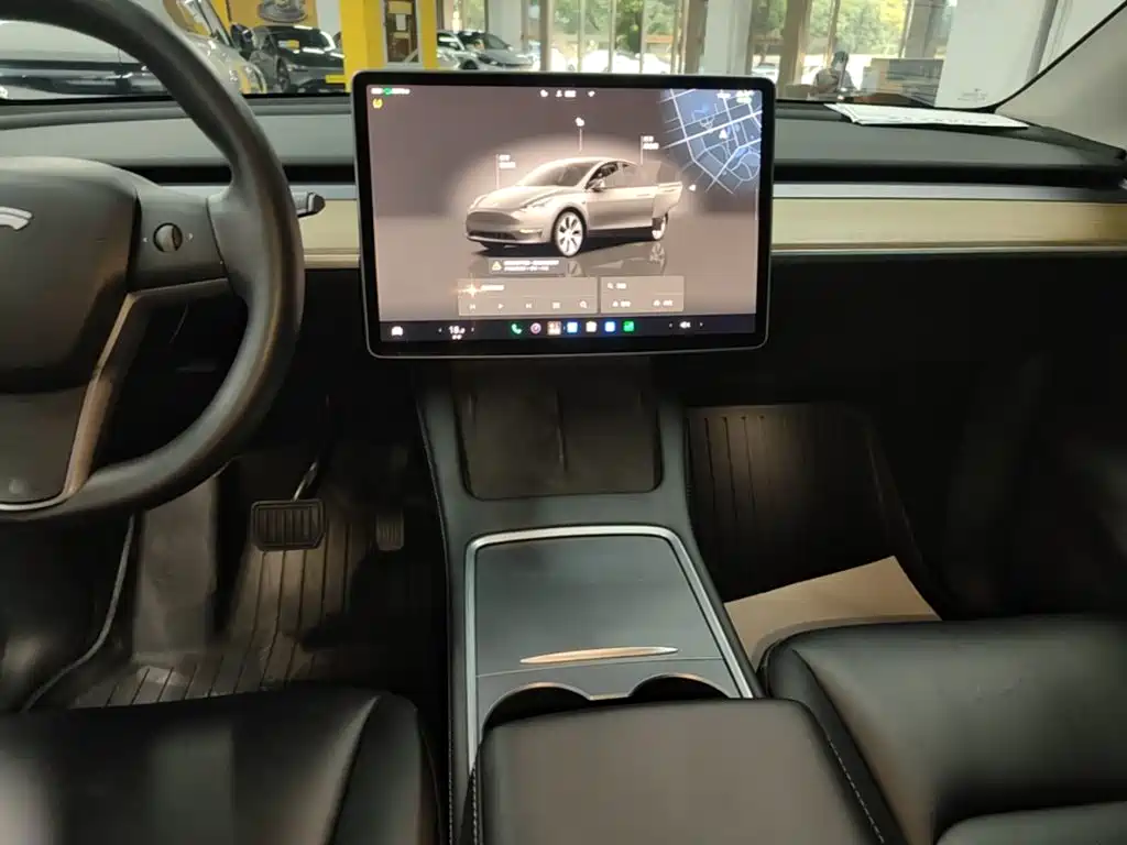 Tesla Model Y — миниатюра 13