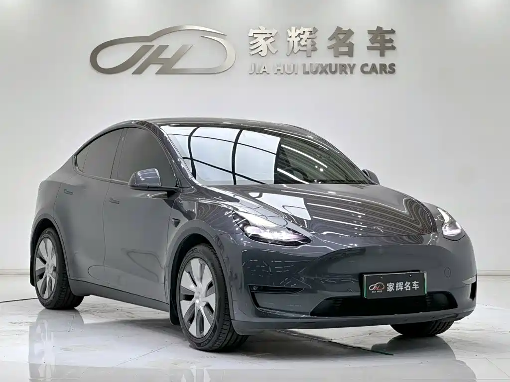 Tesla Model Y — миниатюра 3