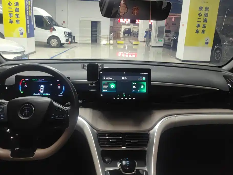 BYD Pro New Energy — миниатюра 13