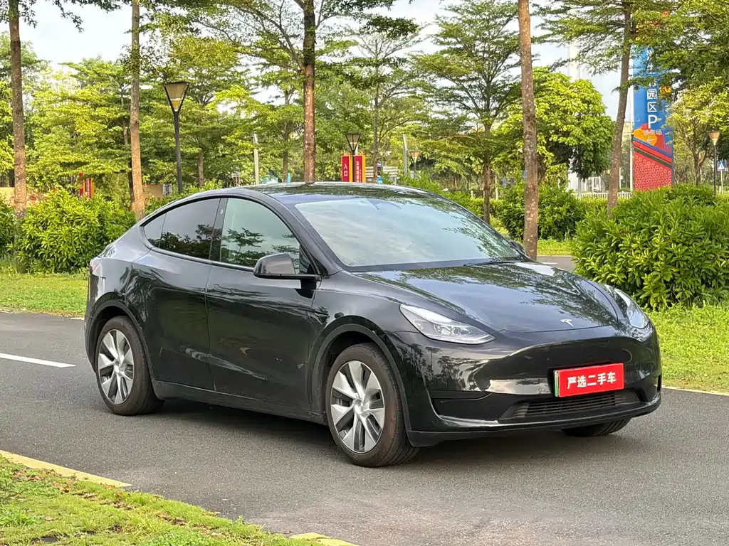 Tesla Model Y — миниатюра 3