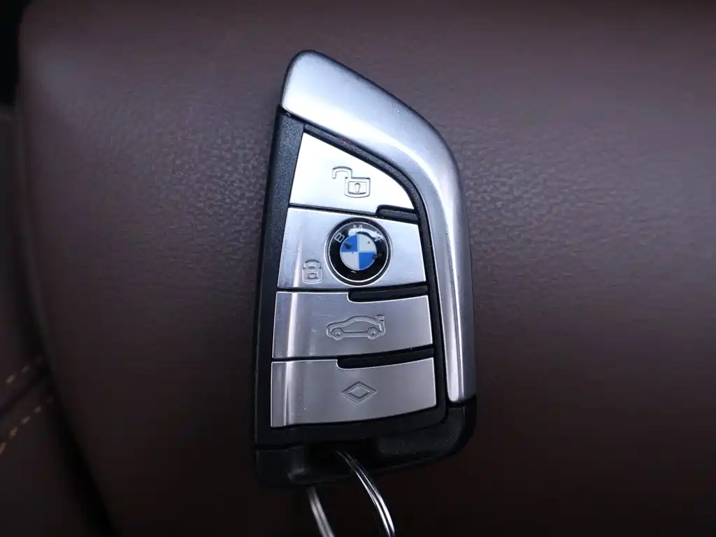 BMW X5 (Import) — миниатюра 25