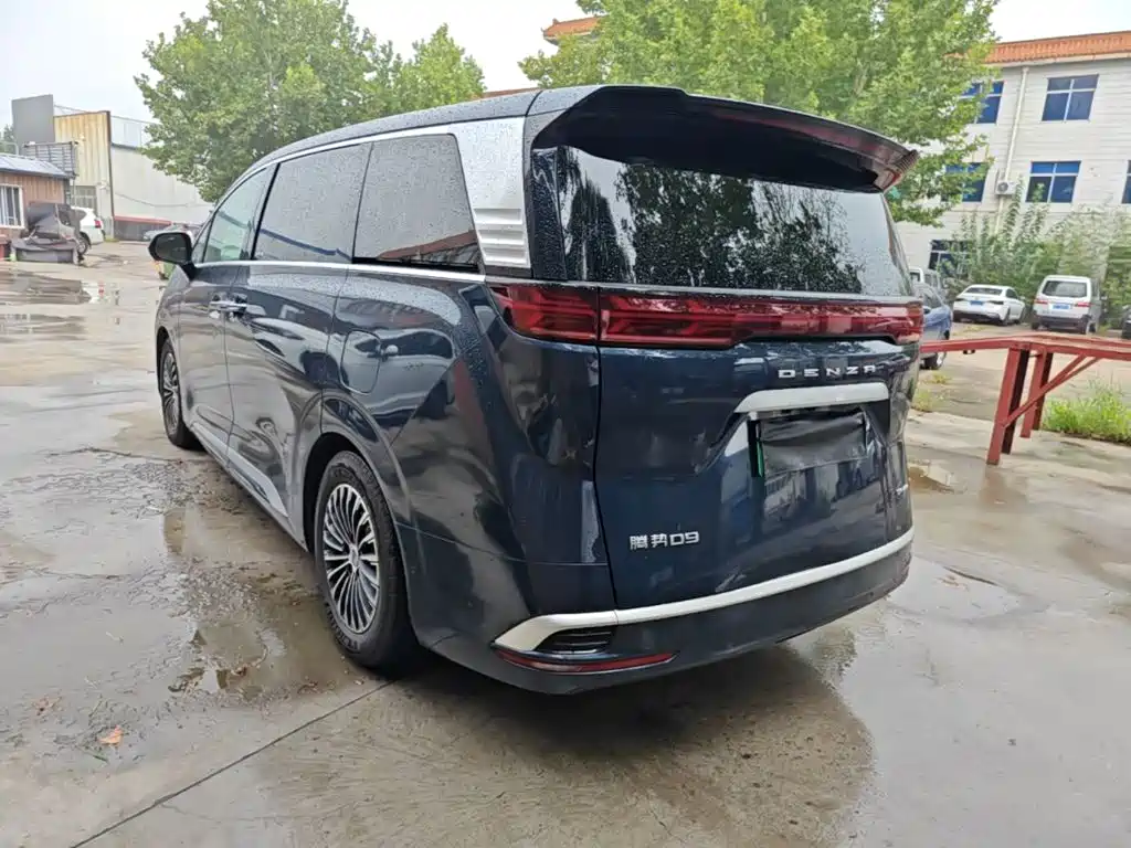 Denza Denza D9 — миниатюра 5