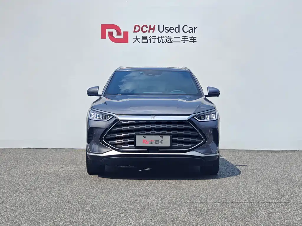 BYD PLUS New Energy — миниатюра 2