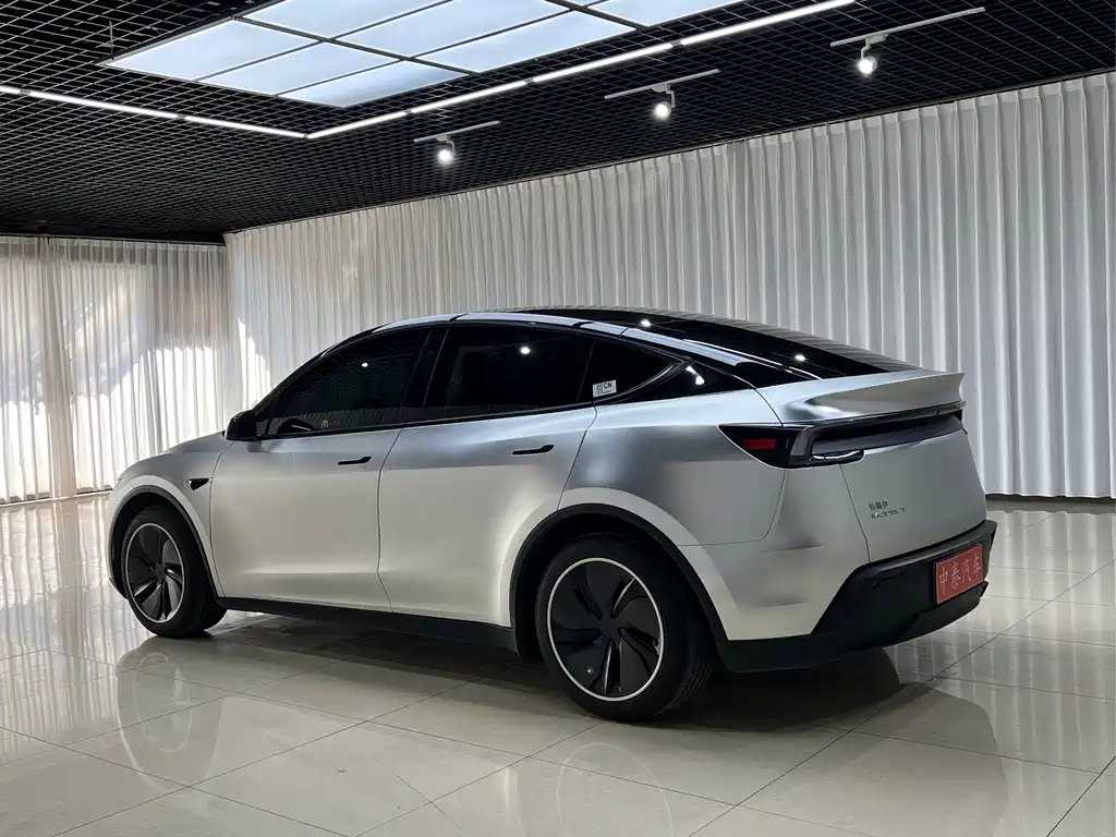 Tesla Model Y — миниатюра 4
