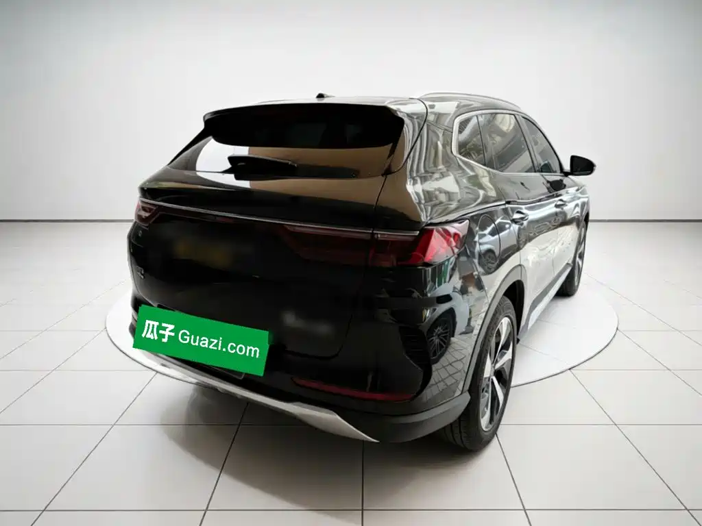 BYD PLUS New Energy — миниатюра 4