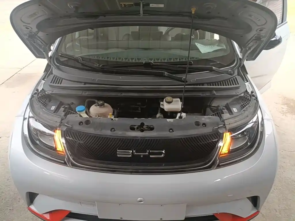 BYD Dolphin — миниатюра 20