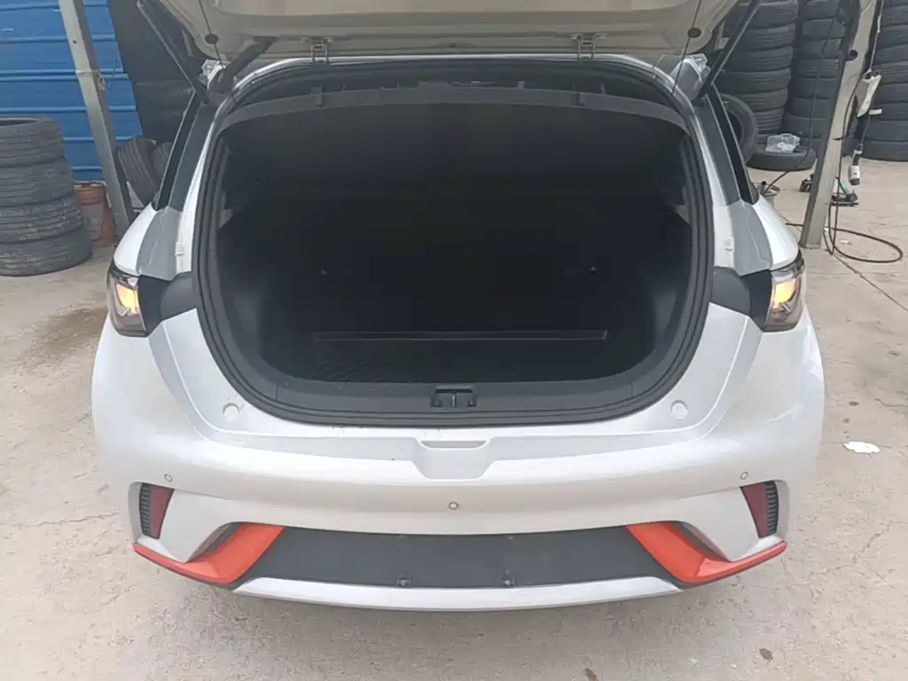 BYD Dolphin — миниатюра 19