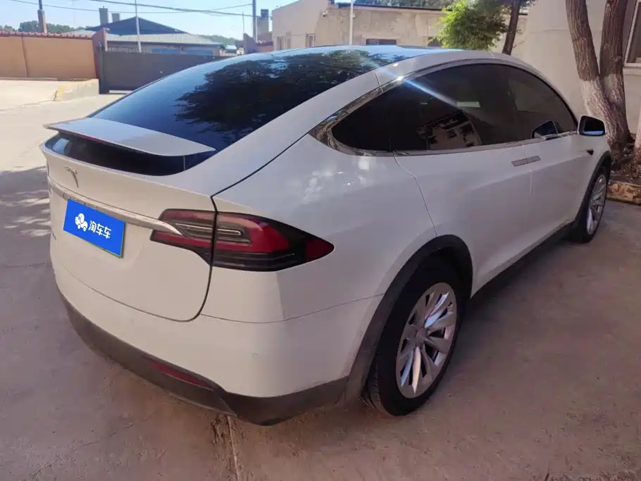 Tesla Model X — миниатюра 3