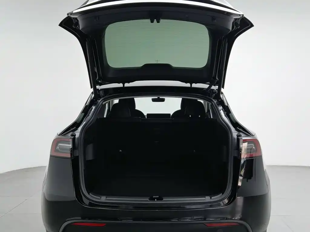 Tesla Model Y — миниатюра 16