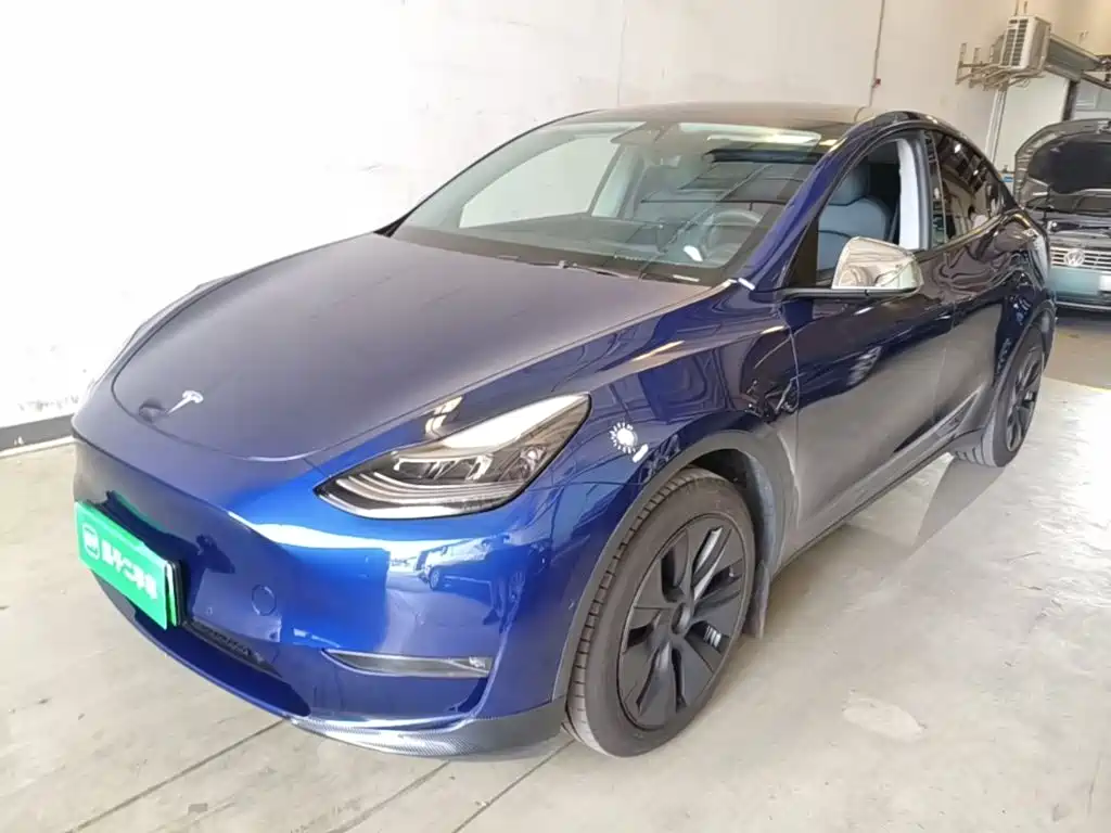Tesla Model Y — миниатюра 2