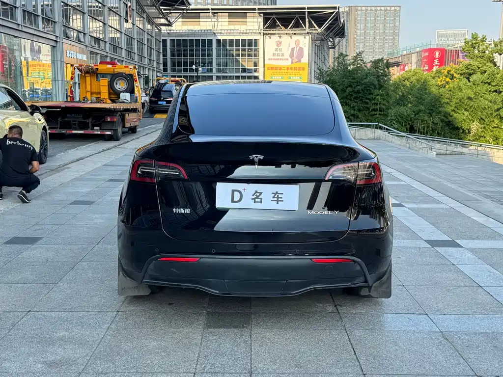 Tesla Model Y — миниатюра 8