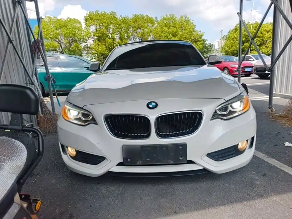 BMW 2 Series (Import) — миниатюра 3
