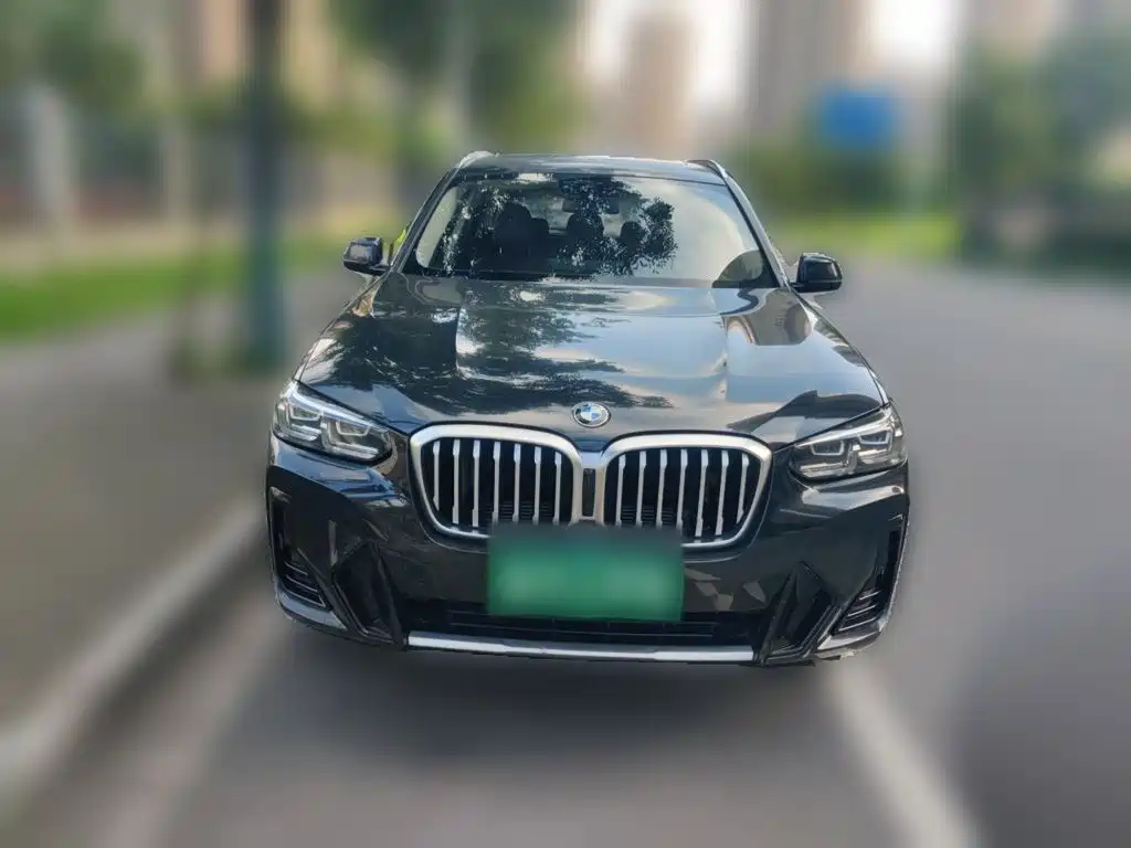 BMW X3 — миниатюра 24