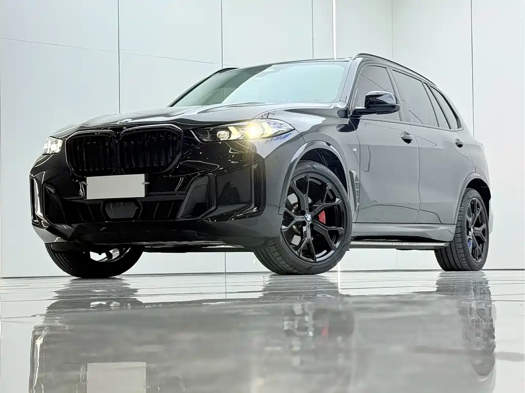 BMW X5 — миниатюра 2