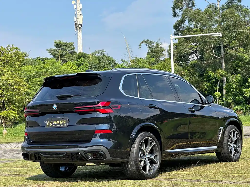 BMW X5 — миниатюра 6