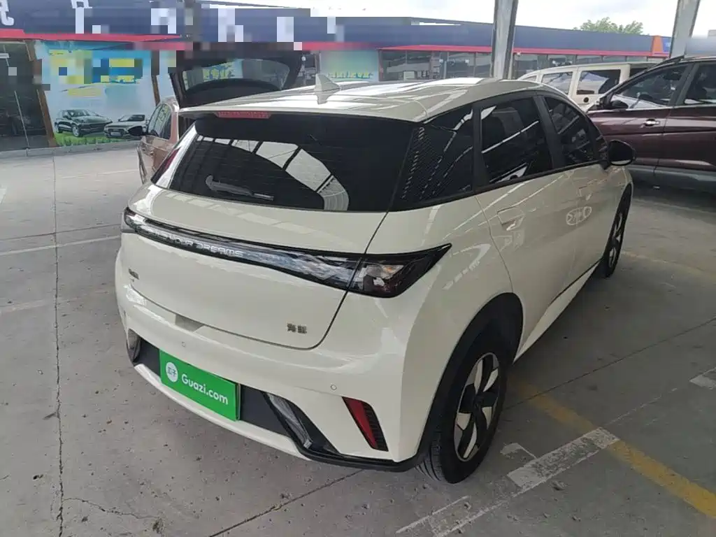 BYD Dolphin — миниатюра 7