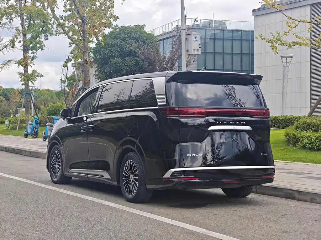 Denza Denza D9 — миниатюра 14