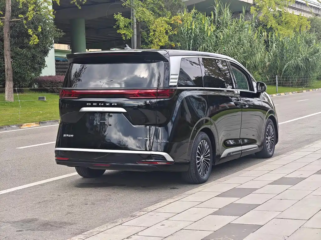 Denza Denza D9 — миниатюра 16