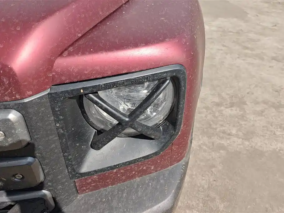 HAVAL RAPTORS NEW ENERGY