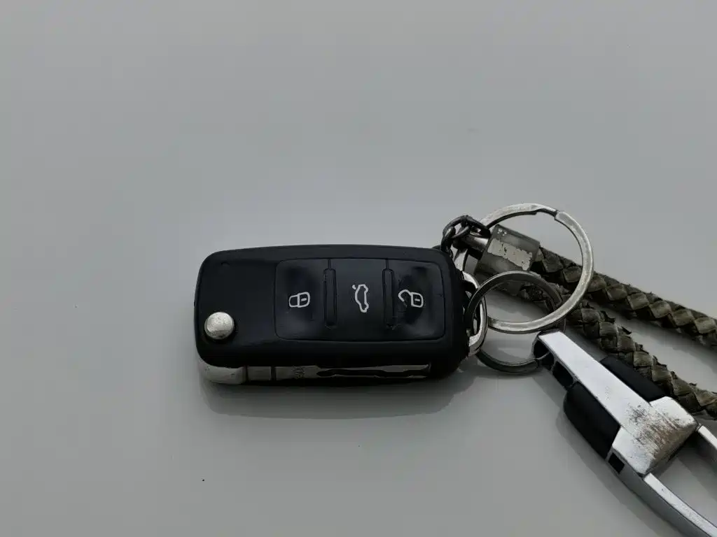 Volkswagen Gran Lavida — миниатюра 19