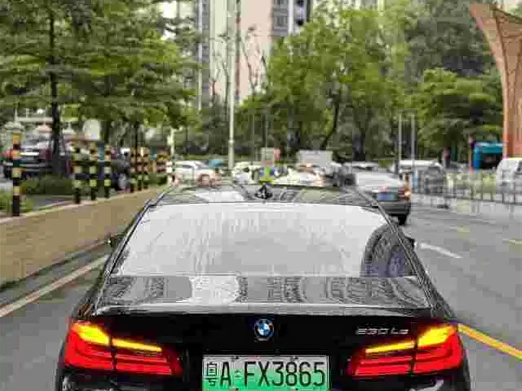 BMW 5 Series 5 2019 530Le Luxury